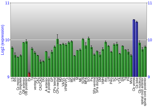 Multi-state expression graph