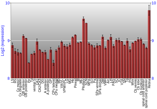 Expression graph