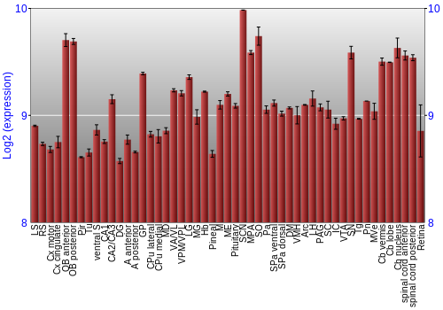 Expression graph