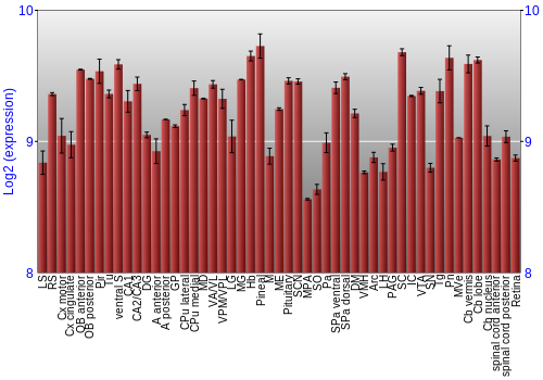 Expression graph