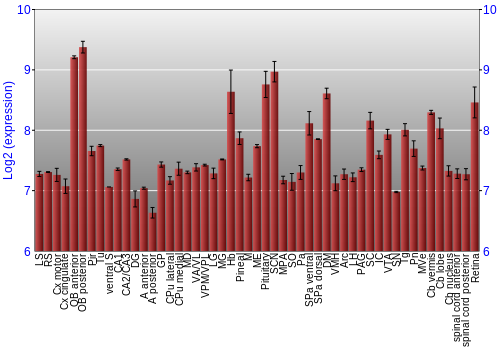 Expression graph
