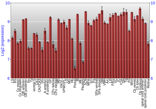 Expression graph