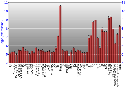 Expression graph