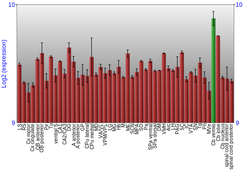 Multi-state expression graph