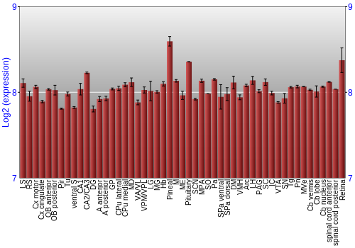 Expression graph