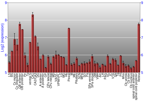 Expression graph