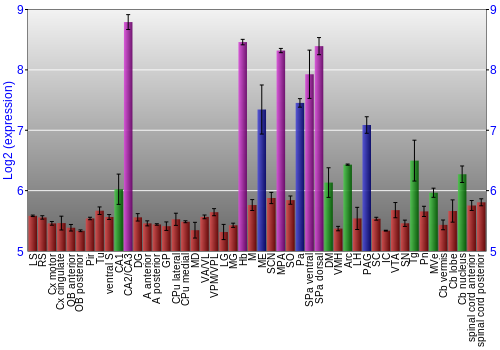 Multi-state expression graph