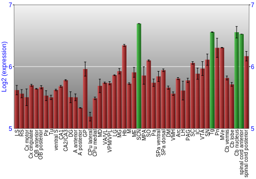 Multi-state expression graph