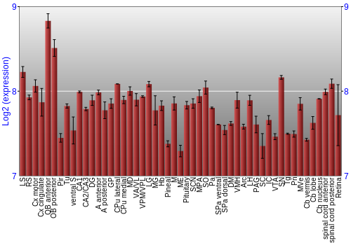 Expression graph