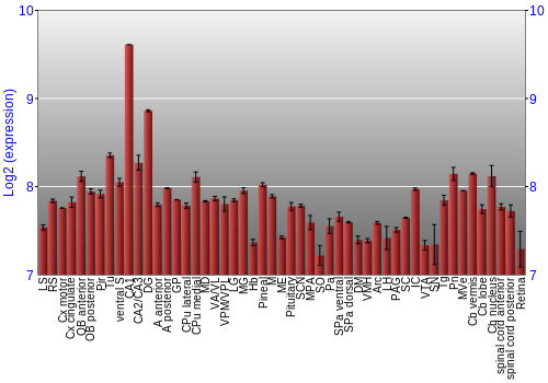 Expression graph