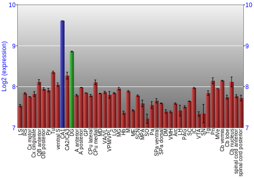 Multi-state expression graph