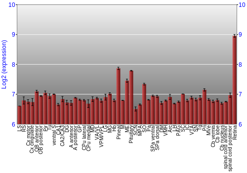 Expression graph