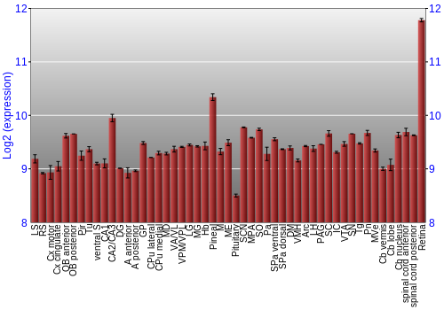 Expression graph