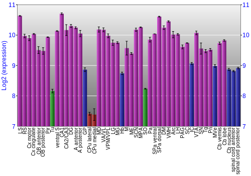 Multi-state expression graph
