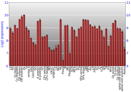 Expression graph