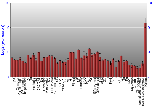 Expression graph