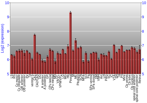 Expression graph