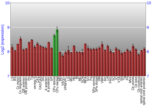 Multi-state expression graph