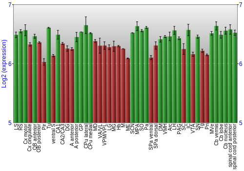 Multi-state expression graph