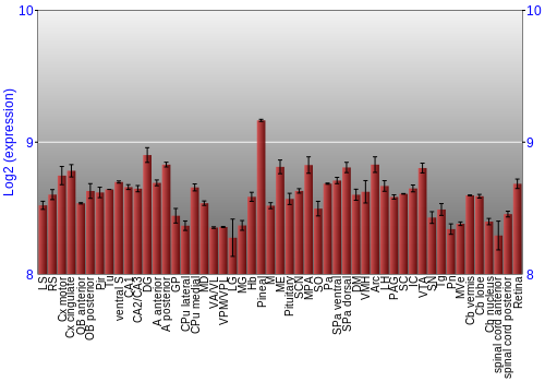 Expression graph