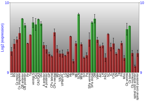 Multi-state expression graph