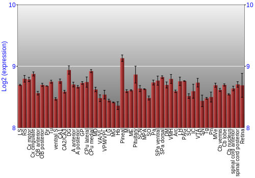 Expression graph