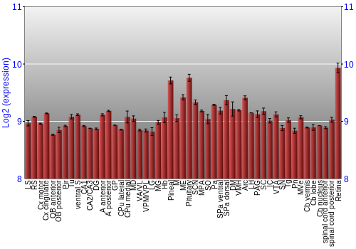 Expression graph