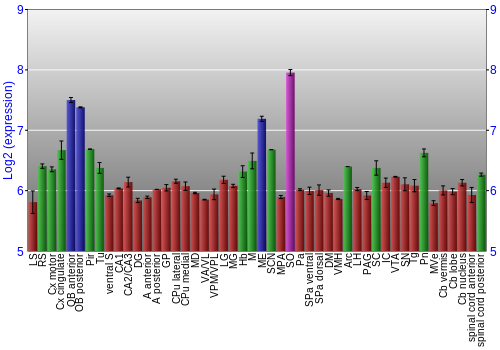 Multi-state expression graph