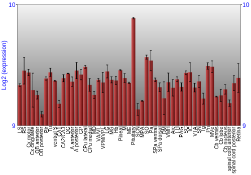 Expression graph