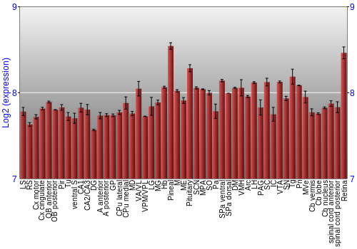 Expression graph