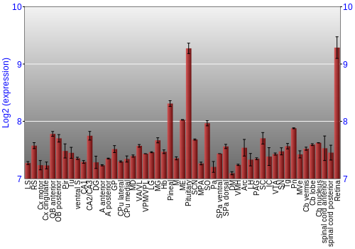 Expression graph