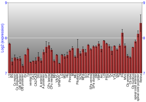 Expression graph