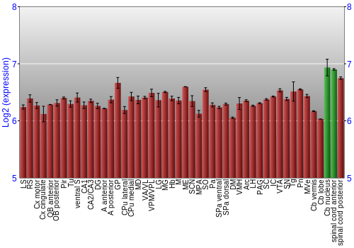 Multi-state expression graph