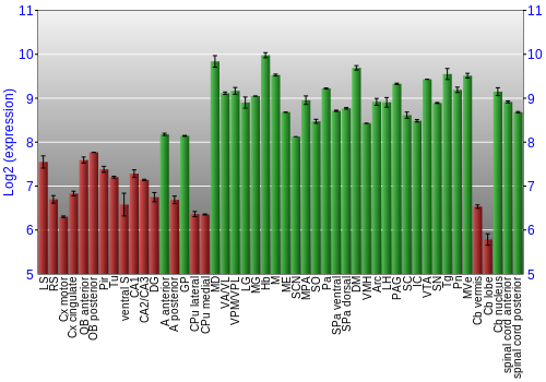 Multi-state expression graph