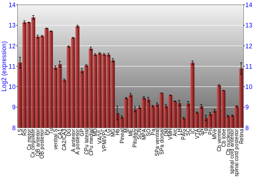 Expression graph