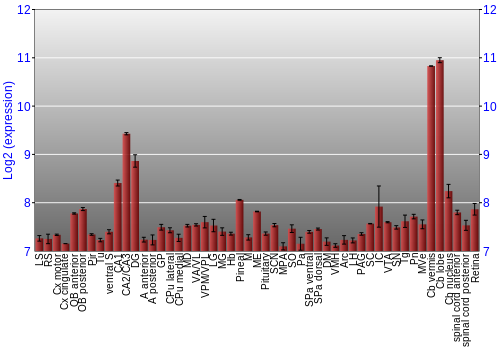 Expression graph