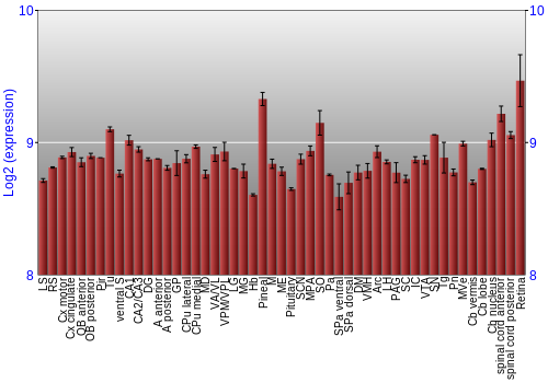 Expression graph