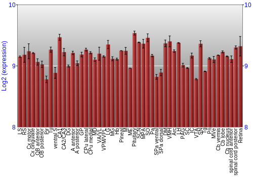 Expression graph
