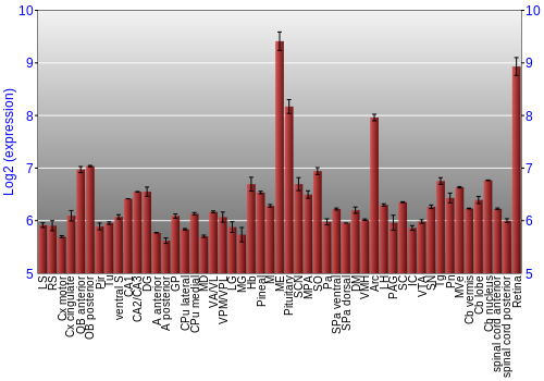 Expression graph
