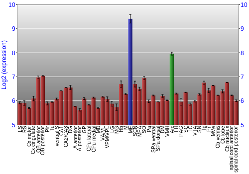 Multi-state expression graph