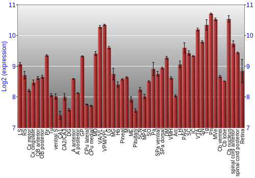 Expression graph