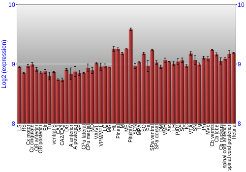 Expression graph