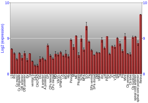 Expression graph
