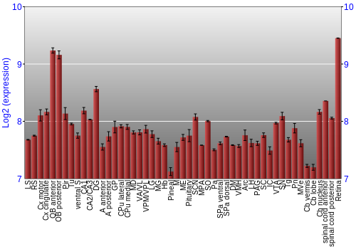 Expression graph