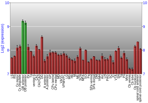 Multi-state expression graph