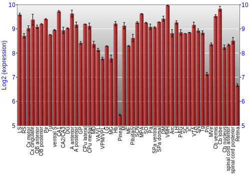 Expression graph