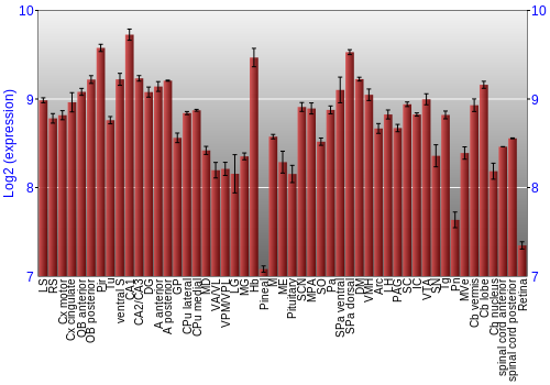 Expression graph