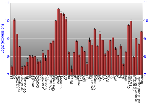Expression graph