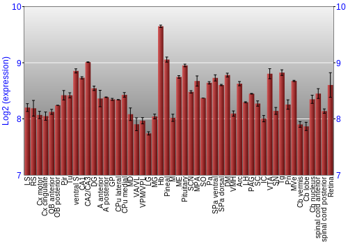 Expression graph