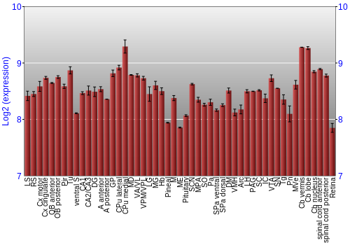 Expression graph